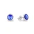SK1122SS29SA.webp