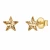 Pozłacane kolczyki gwiazdki ze srebra 925 z kryształami Swarovski® Golden Shadow 10 mm.