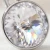 Srebrne kolczyki z okrągłymi kryształami Swarovski® Crystal o diamentowym połysku
